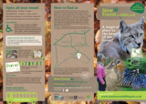 New forest wildlife park leaflet